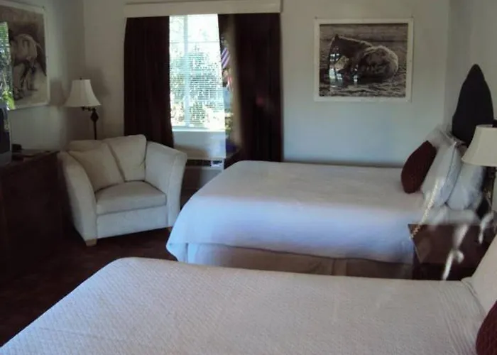 La Siesta Motel