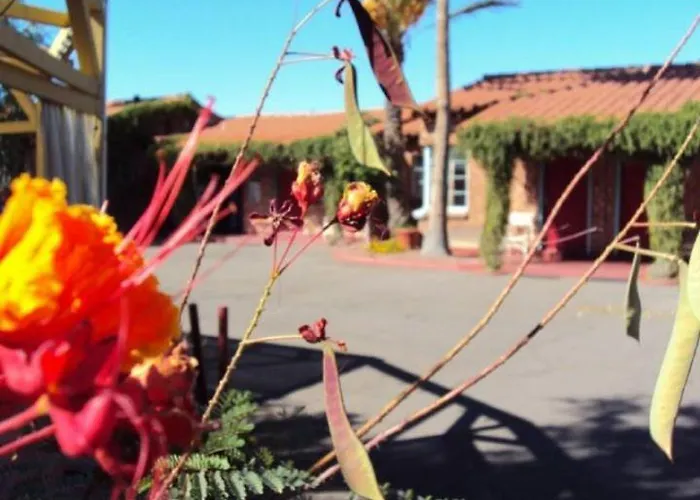 La Siesta Motel Tucson